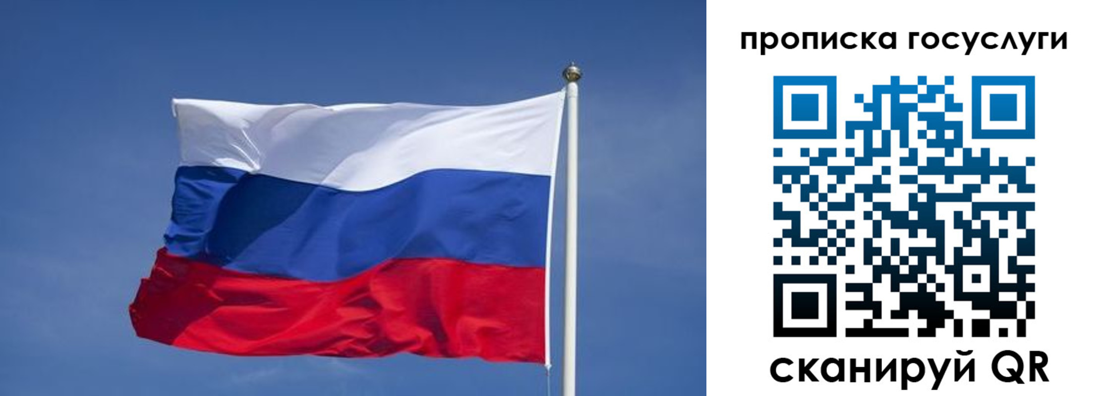 временная регистрация надежно в Вологде